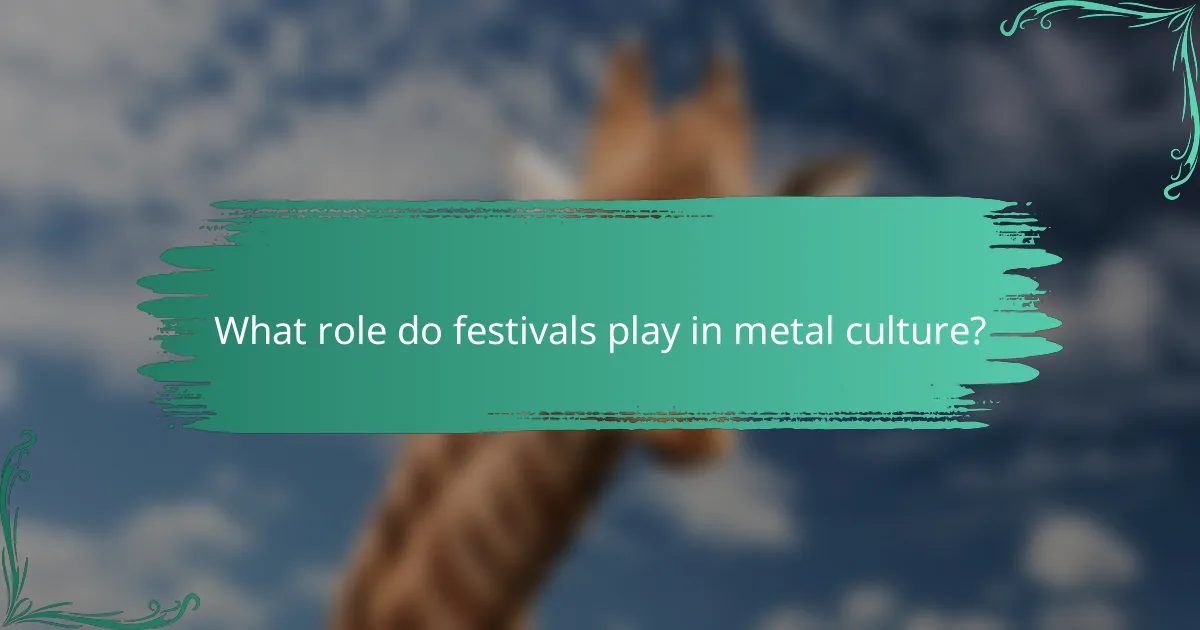What role do festivals play in metal culture?